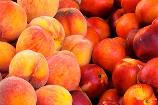 In 2023, Uzbekistan may update the previous record for the export of peaches and nectarines