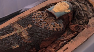 Misrda qazishma paytida 3,5 ming yillik kitob topildi