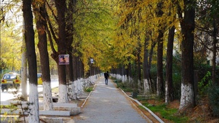 Эртага ҳаво бироз булутли бўлади, ёғингарчилик кутилмайди