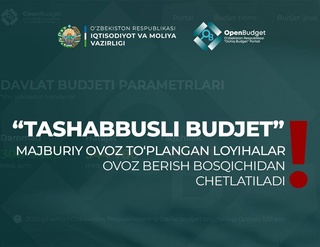 В «Инициативном бюджете-2025» проекты, с принудительно собранными голосами, будут исключены из этапа голосования