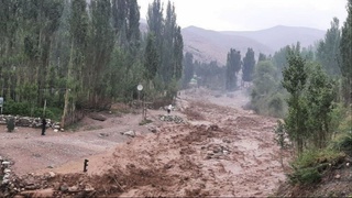 «Ўзгидромет» кучли ёмғир ёғиши, ҳудудларни сув босишидан огоҳлантирди