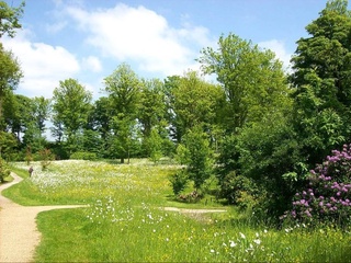 Прогноз погоды на 25 июня