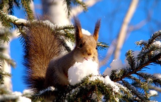 Прогноз погоды на 2 февраля