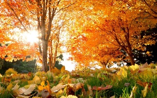 Uzhydromet: Uzbekistan will warm up to +27 degrees again