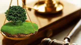 Незаконно занятые земли возвращены