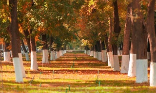 Совуқ ҳаво массаси чекина бошлайди