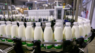 В Самаркандской области будет создан завод по переработке молока