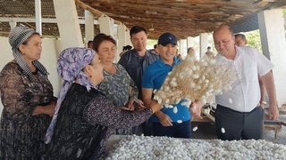 Кластеры: эффективное производство серебряного волокна