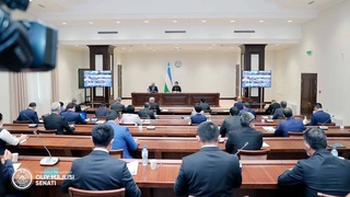 Сенатом изучены проблемы предпринимателей, работающих в текстильной промышленности Наманганской области