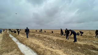 Ховосда 400 нафар ёшга ажратилган ер майдонидаги илк ниҳолни вилоят ҳокими экди