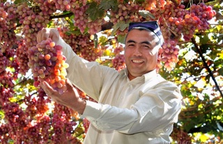 Ферғанада жеміс-көкөніс жеткізу желілерін дамытудың халықаралық тәжірибесі енгізілуде