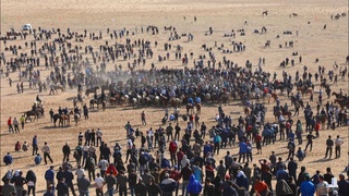 Сурхондарёдаги кўпкарида чавандознинг абжирлиги, отнинг учқурлиги, баковулнинг адолати ғалаба қилди