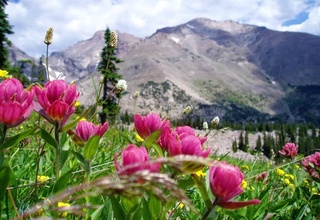 Синоптики рассказали, какая погода ждет узбекистанцев в марте