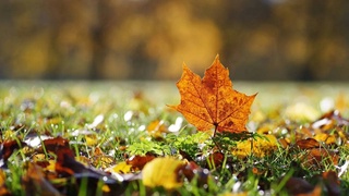 Weather forecast for September 21