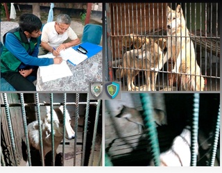 Andijonda fuqaro “zapravka“da 2 ta boʻrini boqib kelayotgani aniqlandi