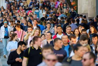 Население Земли в 2024 году увеличилось почти на 82 млн человек