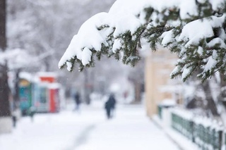 Uzhydromet: a sharp cold snap, rains and snow are expected for Uzbek residents this week