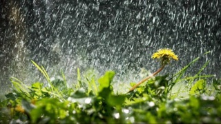 Ertaga respublika hududiga nam havo kirib kela boshlaydi