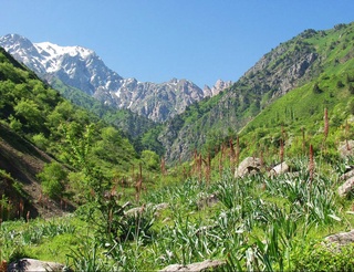 Узгидромет: во второй половине недели температура поднимется до +32 градусов