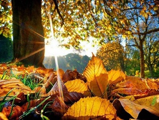 Прогноз погоды на день 26 октября