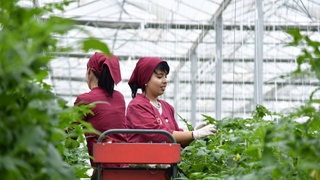 Карманинский район: экономический эффект вложений