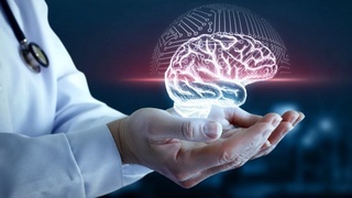 Ученые: потеря веса замедляет старение мозга