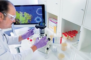 Маймыл шешегі пандемиясы жойылуы мүмкін