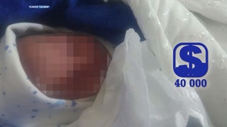 ДХХ гўдакларини минглаб АҚШ долларларига сотаётган аёлларни қўлга олди