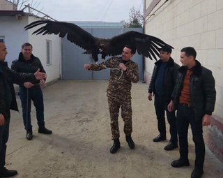 A resident of the Syrdarya region illegally kept a red book black vulture at his home