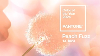 Институт Pantone назвал главным цветом 2024 года оттенок «персикового пушка»