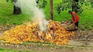 In Uzbekistan, a fine of up to 3.3 million soums is provided for burning dry leaves
