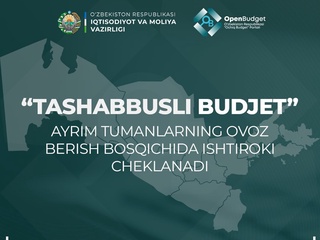 Ayrim tumanlar "Tashabbusli byudjet"dan chetlatildi