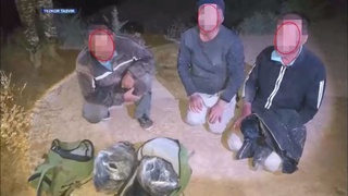 Afgʻoniston, Tojikiston va Qirgʻizistondan keltirilgan 47,2 kg narkotik modda musodara qilindi