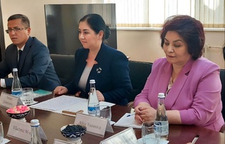 Адам құқықтары бойынша Омбудсман ЕҚЫҰ ДИАҚБ делегациясымен кездесті