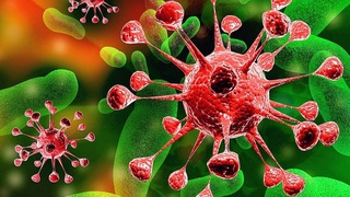 Обнаружена опасная мутация коронавируса