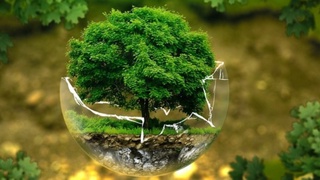 Экологик аудит ихтиёрий ёки мажбурий шаклда ўтказилади