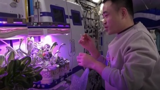 Chinese astronauts enjoy an abundant meal in space to greet new year