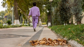 Yakshanba kuni yogʻingarchilik kutilmaydi — Oʻzgidromet