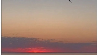 Қорақалпоғистонда илк бор Орол маданият саммити ўтказилади