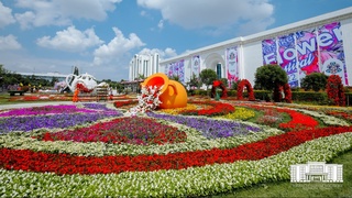 Тошкент шаҳрида ҳаво бироз булутли бўлади, ёғингарчилик кутилмайди