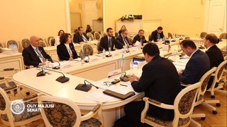 Состоялось заседание Постоянной комиссии МПА СНГ по политическим вопросам и международному сотрудничеству