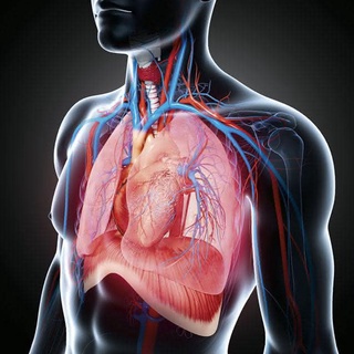 Бронх ва ўпка касалликлари терапиясида қўлланадиган биологик фаол қўшимча яратилди