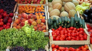 Аввалин қатораи «Агроэкспресс» моҳи ноябр аз Тошканд роҳи Маскавро мегирад