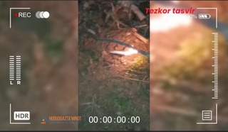 Samarqandda tabiiy gazdan noqonuniy foydalangan issiqxona aniqlandi