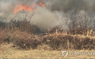 In South Korea, a helicopter crashed while extinguishing forest fires