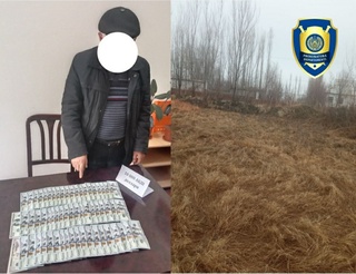 Гулистон туманида захирадаги ер майдонини сотмоқчи бўлган фирибгар ушланди