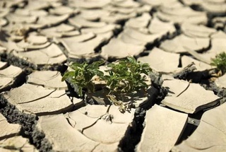 Ученые заявили, что из-за жары часть Африки и Южной Азии станет непригодной для жизни