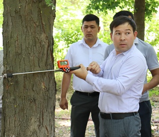 Xalqaro tashkilot O'zbekistondagi o'rmon xo'jaliklari faoliyatiga innovatsion texnologiyalarni joriy etmoqda