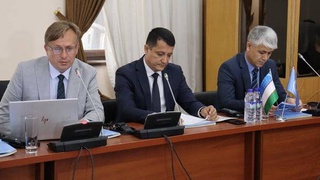 ФАО продвигает цифровые решения для устойчивого развития пчеловодства в Центральной Азии и за ее пределами