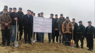 ФАО дар вилояти Қашқадарё ниҳолзорҳои ҷангал бунёд мекунад